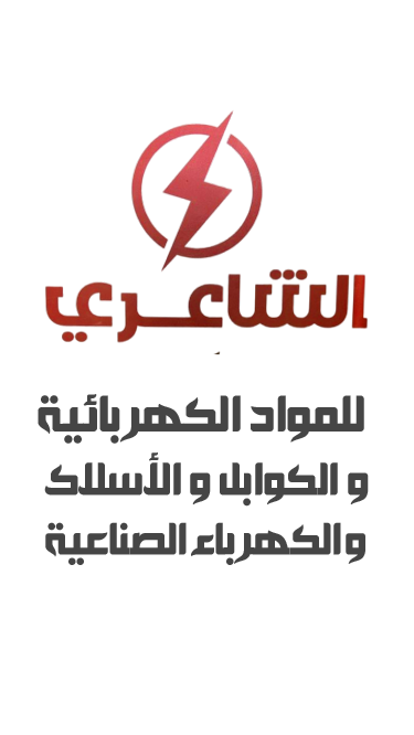 عن الشركة